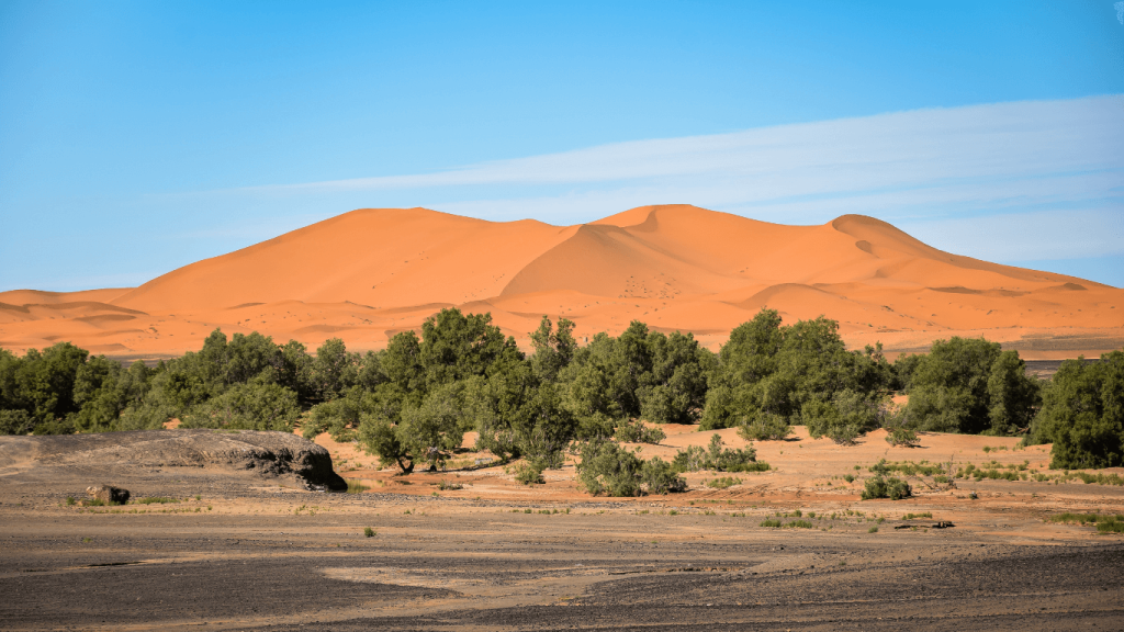 3 day tour marrakech to desert marrakech