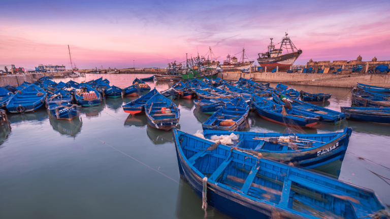 Day trip in Essaouira