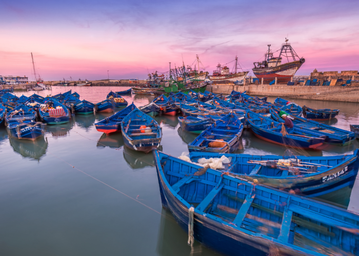 Excursão de 1 Dia a Essaouira desde Marrakech