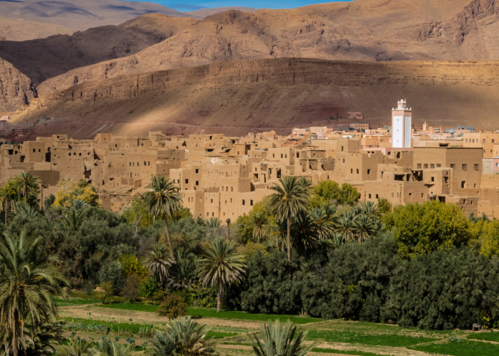 Excursão de 1 Dia a Ourika desde Marrakech