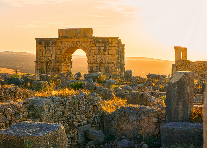 Excursão de 1 Dia a Volubilis Meknes desde Fez